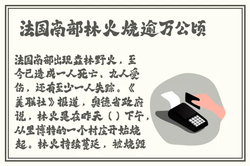 芒果视频看片版在线播放